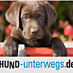 Hund-unterwegs.de