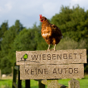 Wiesenbett.de